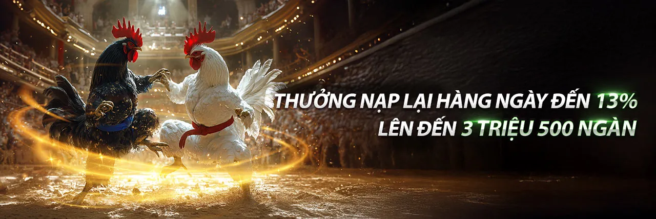 Đá Gà Trực Tuyến S8BET 2026 – Trận Đấu Kịch Tính